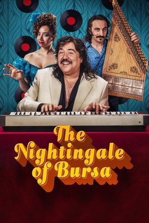 A bursai fülemüle poszter