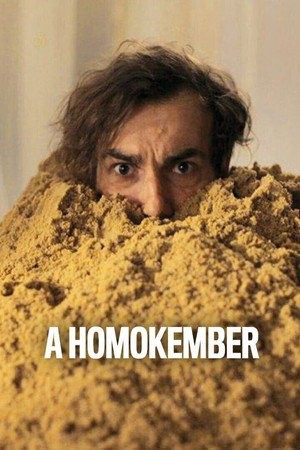 A Homokember