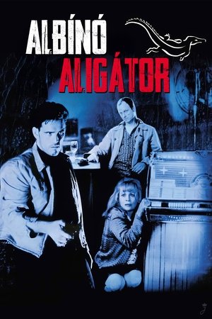 Albínó aligátor