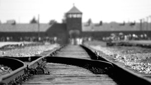 The Escape from Auschwitz háttérkép