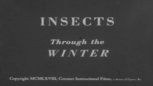 Insects Through the Winter háttérkép