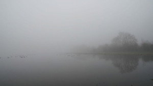 Port Meadow háttérkép