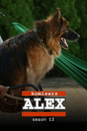 Alex felügyelő