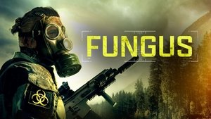 Fungi háttérkép