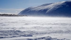 Terres sauvages du Grand Nord kép