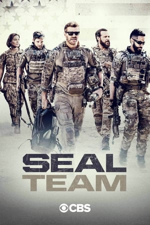 SEAL Team poszter