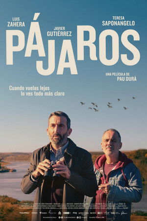 Pájaros poszter
