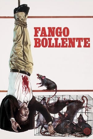 Fango bollente poszter