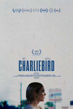 Charliebird poszter