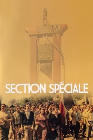 Section spéciale poszter