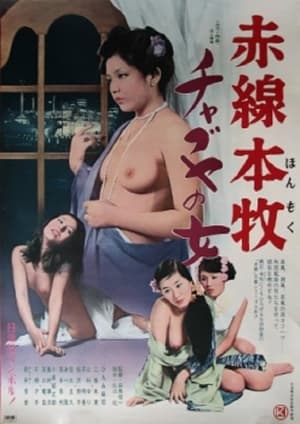 赤線本牧チャブヤの女