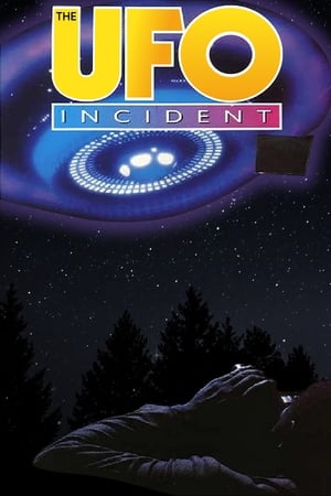 The UFO Incident poszter