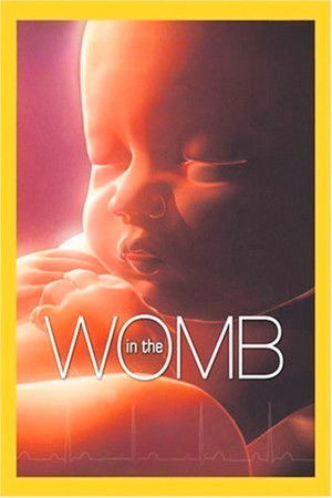 Life Before Birth poszter