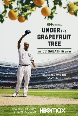 A grapefruit fa alatt: A CC Sabathia sztori