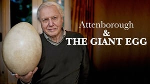 Az elefántmadár nyomában David Attenborough-val háttérkép