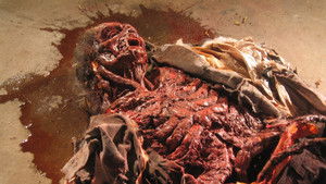 Cryptic Plasm háttérkép