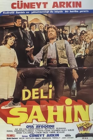 Deli Şahin