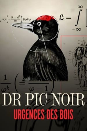 Dr Pic Noir, urgence des bois poszter