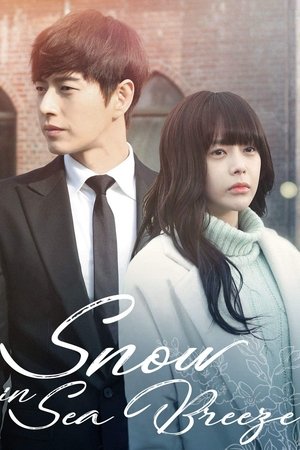 설해 poszter