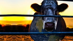 Cowspiracy: The Sustainability Secret háttérkép