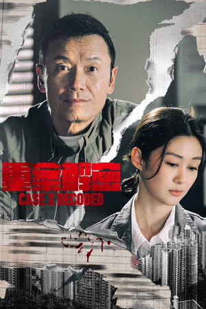 重案解密 poszter