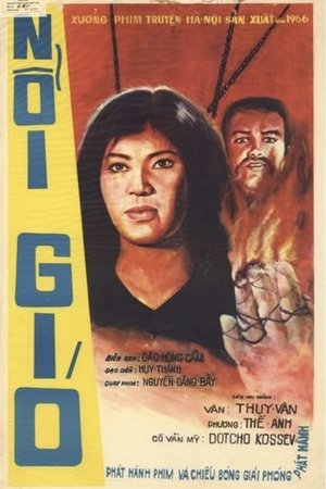 Nổi gió poszter