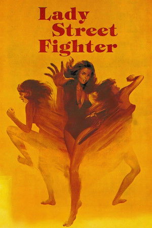 Lady Street Fighter poszter