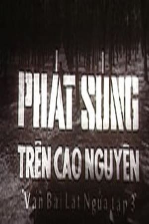 Ván bài lật ngửa: Phát súng trên cao nguyên