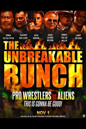 The Unbreakable Bunch poszter