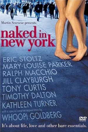 Naked in New York poszter