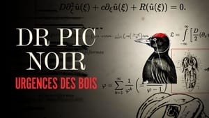 Dr Pic Noir, urgence des bois háttérkép