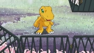 Digimon 1. évad Ep.15 15. epizód