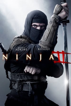 Ninja 2 – A harcos bosszúja