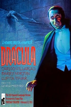 Drácula poszter