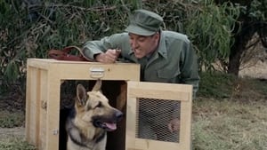 Gomer Pyle, U.S.M.C. Season 2 Ep.5 5. epizód