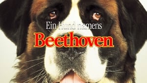 Beethoven háttérkép