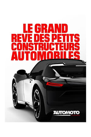 Le grand rêve ...des petits constructeurs auto