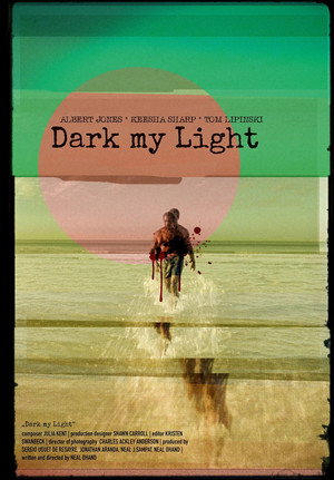 Dark My Light poszter