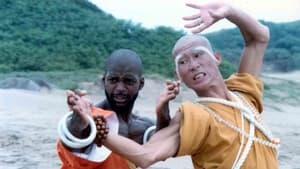 Shaolin Dolemite háttérkép