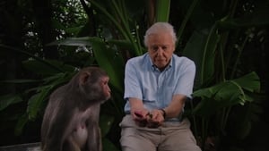 Az állatvilág története David Attenborough-val kép