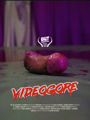 Videogore poszter