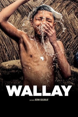 Wallay poszter