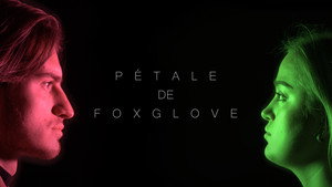 Pétale de Foxglove háttérkép