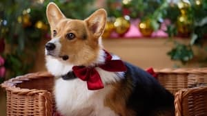 A Royal Corgi Christmas háttérkép