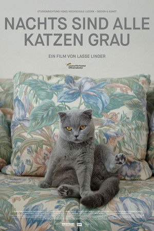 Nachts sind alle Katzen grau poszter