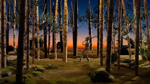 The Tin Woods háttérkép