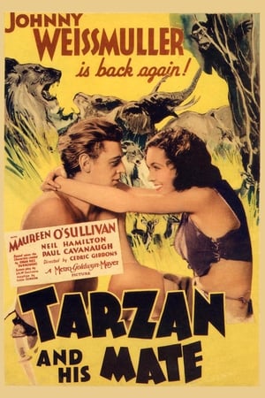 Tarzan és asszonya poszter