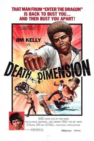 Death Dimension poszter