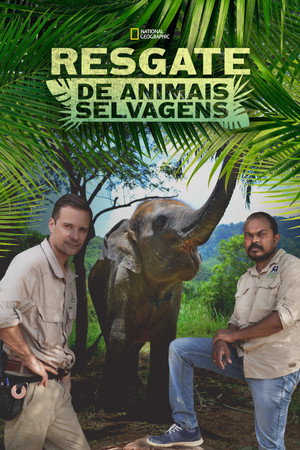 Jungle Animal Rescue poszter