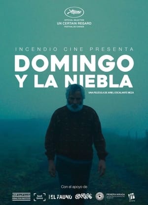 Domingo y la niebla